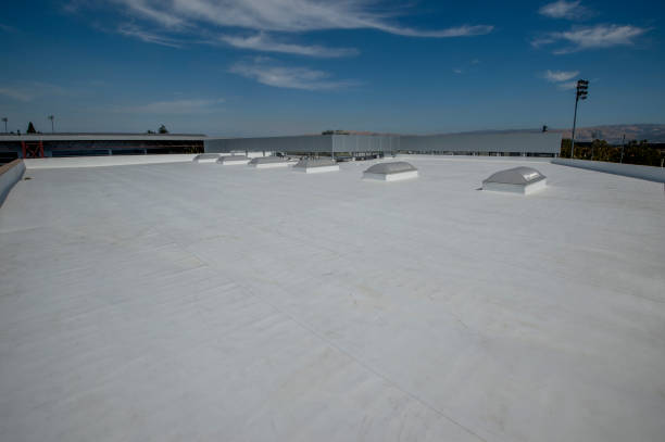 Professional Roofing Services in Lillian, AL